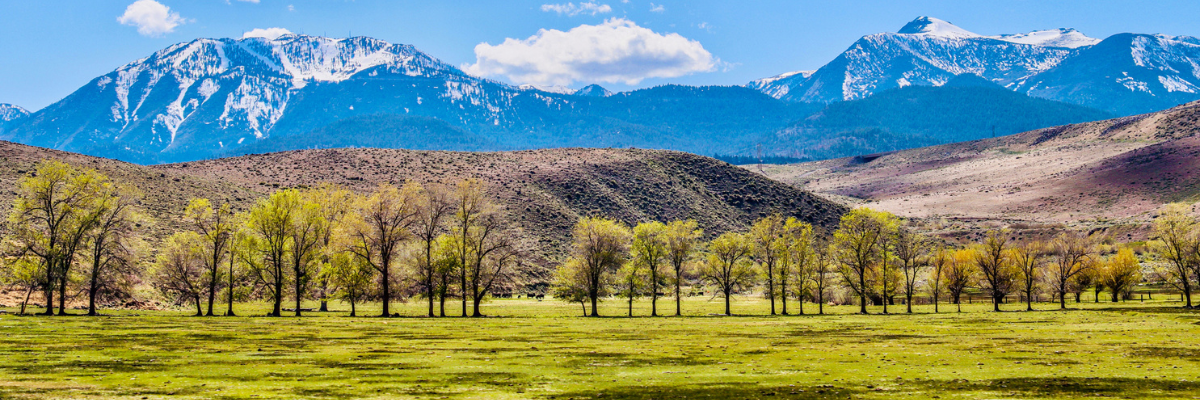 Virginia Range of the Sierra Nevada - Washoe Co, Nevada - April - Vista